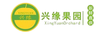 縣委常委等領(lǐng)導視察我司金柚自動化建設(shè)-梅州市興緣農(nóng)業(yè)發(fā)展有限公司
